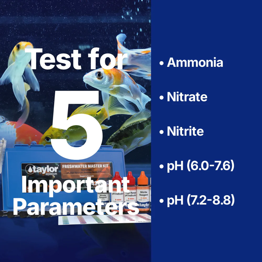Freshwater Aquarium Master Kit - Image 3